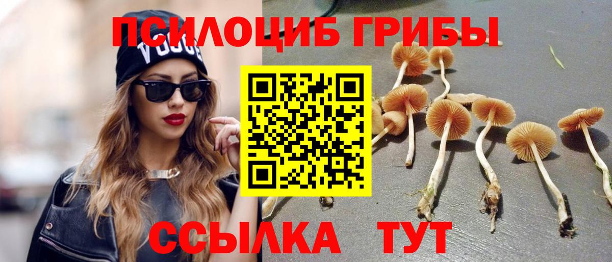 Галлюциногенные грибы MAGIC MUSHROOMS  Вход с VPN  Шатура 
